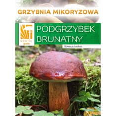 PLANTO Hríb hnedý ( Boletus badius ) mykorhyzné mycélium PO-SM-HH