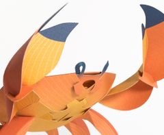 Plego CANCRIDAE Krab Figure - Creation Set