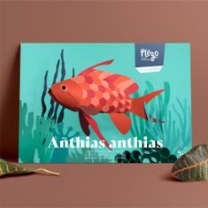 Plego Figúrka ryby ANTHIAS ANTHIAS - sada na tvorbu 