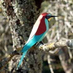 Plego Figúrka exotického vtáka MEROPS APIASTER - formovacia sada