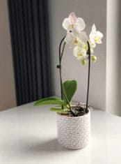 Polnix Okrúhly keramický kvetináč biely 13 cm