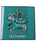 Obraz Harry Potter - Slytherin Crystal Clear Art Pictures (Nemesis Now)