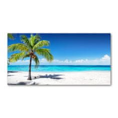 Wallmuralia.sk Foto obraz akrylové sklo Tropická pláž 140x70 cm 2 prívesky