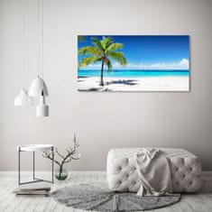 Wallmuralia.sk Foto obraz akrylové sklo Tropická pláž 140x70 cm 2 prívesky
