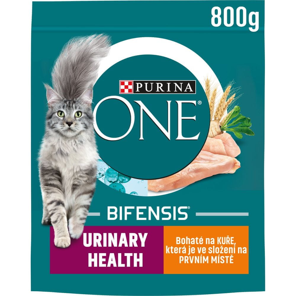 Purina ONE URINARY CARE kura 8x800 g