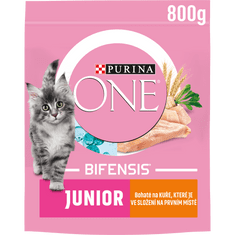 Purina ONE JUNIOR kura 8x800 g