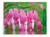 Bleeding Hearts Flowers Glass art 60x80