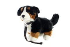 Lamps Plyšový bernský horský pes s sprievodcom 26 cm
