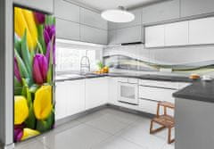 Wallmuralia.sk Foto nálepka na chladničku Farebné tulipány 60x180 cm