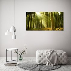 Wallmuralia.sk Moderný akrylový fotoobraz Sosnová les 120x60 cm 2 prívesky