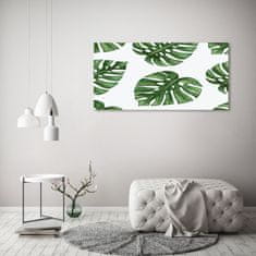 Wallmuralia.sk Foto obraz akrylové sklo Monstera 100x50 cm 2 prívesky