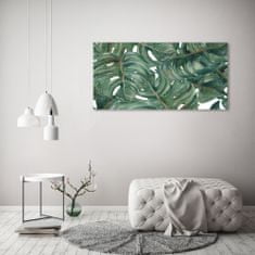 Wallmuralia.sk Foto obraz akrylové sklo Monstera 100x50 cm 2 prívesky