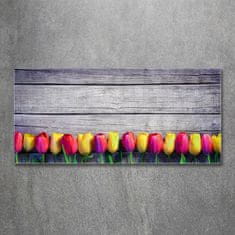 Wallmuralia.sk Foto obraz akrylové sklo Tulipány na strome 100x50 cm 2 prívesky