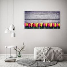 Wallmuralia.sk Foto obraz akrylové sklo Tulipány na strome 100x50 cm 2 prívesky