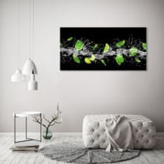 Wallmuralia.sk Foto obraz akryl do obývačky Limetka s mätou 100x50 cm 2 prívesky