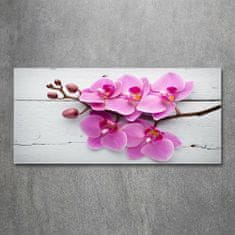 Wallmuralia.sk Foto obraz akrylové sklo Orchidea a na strome 100x50 cm 2 prívesky