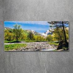 Wallmuralia.sk Foto obraz akryl do obývačky Rieka v horách 100x50 cm 2 prívesky