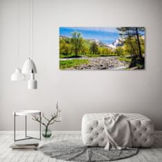 Wallmuralia.sk Foto obraz akryl do obývačky Rieka v horách 100x50 cm 2 prívesky