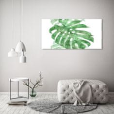 Wallmuralia.sk Foto obraz akrylové sklo Monstera 100x50 cm 2 prívesky