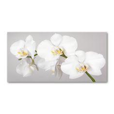 Wallmuralia.sk Foto obraz sklo tvrzené orchidea 100x50 cm 2 prívesky