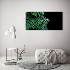 Wallmuralia.sk Foto obraz akryl do obývačky Monstera 125x50 cm 2 prívesky