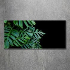 Wallmuralia.sk Foto obraz akryl do obývačky Monstera 125x50 cm 2 prívesky