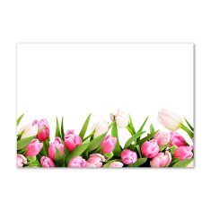 Wallmuralia.sk Foto obraz sklo tvrzené ružové tulipány 120x60 cm 2 prívesky