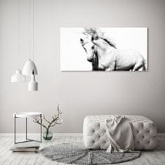 Wallmuralia.sk Foto obraz akryl zvislý do obývačky Biely kôň 140x70 cm 2 prívesky