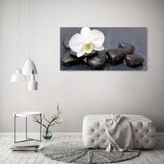 Wallmuralia.sk Foto obraz akrylový Orchidea 100x50 cm 2 prívesky