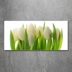 Wallmuralia.sk Foto obraz akryl do obývačky Tulipány 100x50 cm 2 prívesky