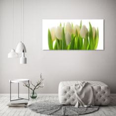 Wallmuralia.sk Foto obraz akryl do obývačky Tulipány 100x50 cm 2 prívesky