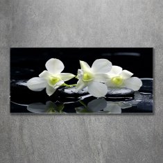 Wallmuralia.sk Foto obraz akryl do obývačky Orchidea 140x70 cm 2 prívesky