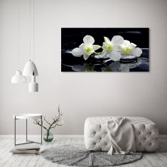 Wallmuralia.sk Foto obraz akryl do obývačky Orchidea 140x70 cm 2 prívesky