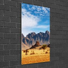 Wallmuralia.sk Vertikálny foto obraz akrylové sklo Namibská púšť 50x100 cm 2 prívesky