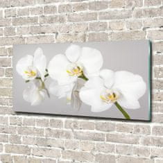 Wallmuralia.sk Foto obraz sklo tvrzené orchidea 100x50 cm 2 prívesky