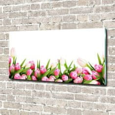 Wallmuralia.sk Foto obraz sklo tvrzené ružové tulipány 120x60 cm 2 prívesky