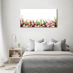 Wallmuralia.sk Foto obraz sklo tvrzené ružové tulipány 120x60 cm 2 prívesky