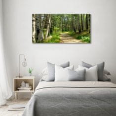 Wallmuralia.sk Foto obraz sklenený horizontálny Chodník v lese 120x60 cm 2 prívesky