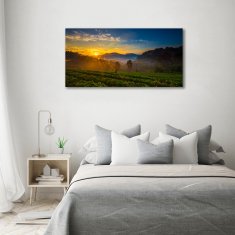 Wallmuralia.sk Foto obraz sklo tvrzené čajová plantáž 125x50 cm 2 prívesky