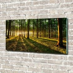 Wallmuralia.sk Foto obraz fotografie na skle slnečné lúče 120x60 cm 2 prívesky