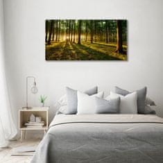 Wallmuralia.sk Foto obraz fotografie na skle slnečné lúče 120x60 cm 2 prívesky