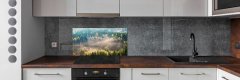 Wallmuralia.sk Dekoračný panel sklo Hmla v lese 125x50 cm
