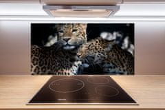 Wallmuralia.sk Dekoračný panel sklo Dva leopardy 140x70 cm