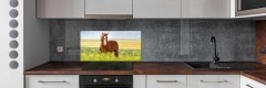 Wallmuralia.sk Dekoračný panel sklo Hnedý kôň 100x50 cm