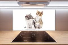Wallmuralia.sk Dekoračné sklo do kuchyne Dve malé mačky 140x70 cm