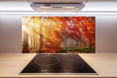 Wallmuralia.sk Dekoračný panel sklo Jesenný les 100x70 cm