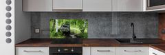 Wallmuralia.sk Dekoračný panel sklo Jeep v lese 100x50 cm