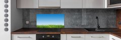 Wallmuralia.sk Sklenený panel do kuchyne Tráva 100x70 cm
