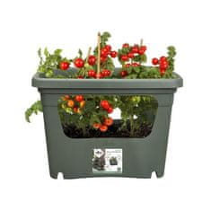 Elho ELHO, Kvetináč, Green Basics Stack & Grow Large, Leaf Green, Outdoor, Ll. 35,1 x š 50,9 x v 35,7 cm