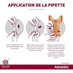 Advantix ADVANTIX 6, Pre stredne ťažké psy od 10 do 25 kg